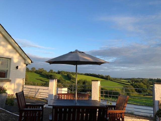 Red Kite Cottage Carmarthen Bagian luar foto