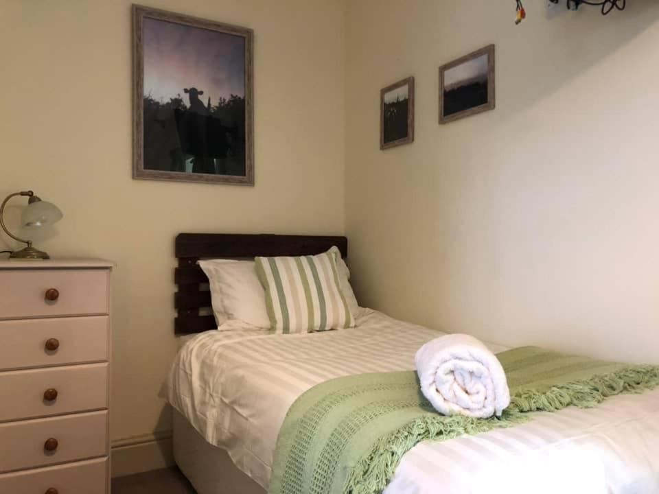 Red Kite Cottage Carmarthen Bagian luar foto