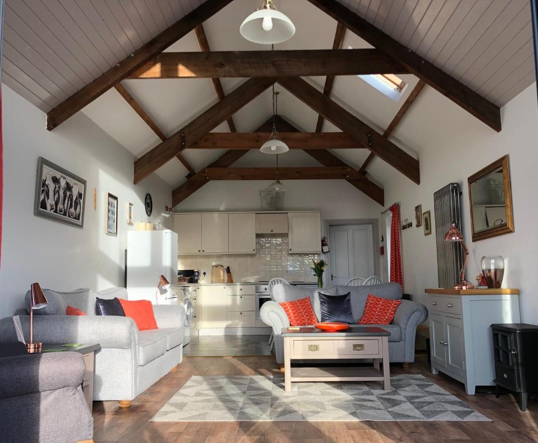 Red Kite Cottage Carmarthen Bagian luar foto