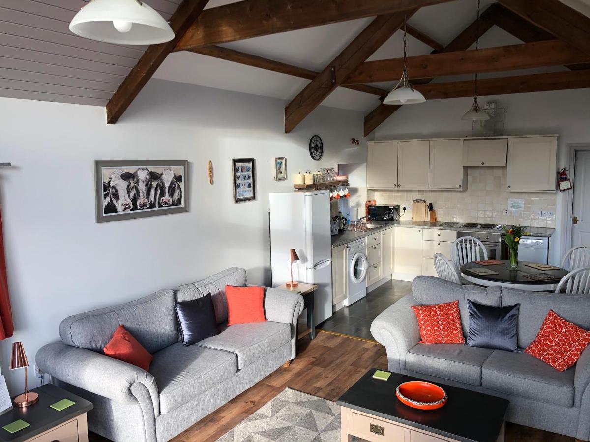 Red Kite Cottage Carmarthen Bagian luar foto