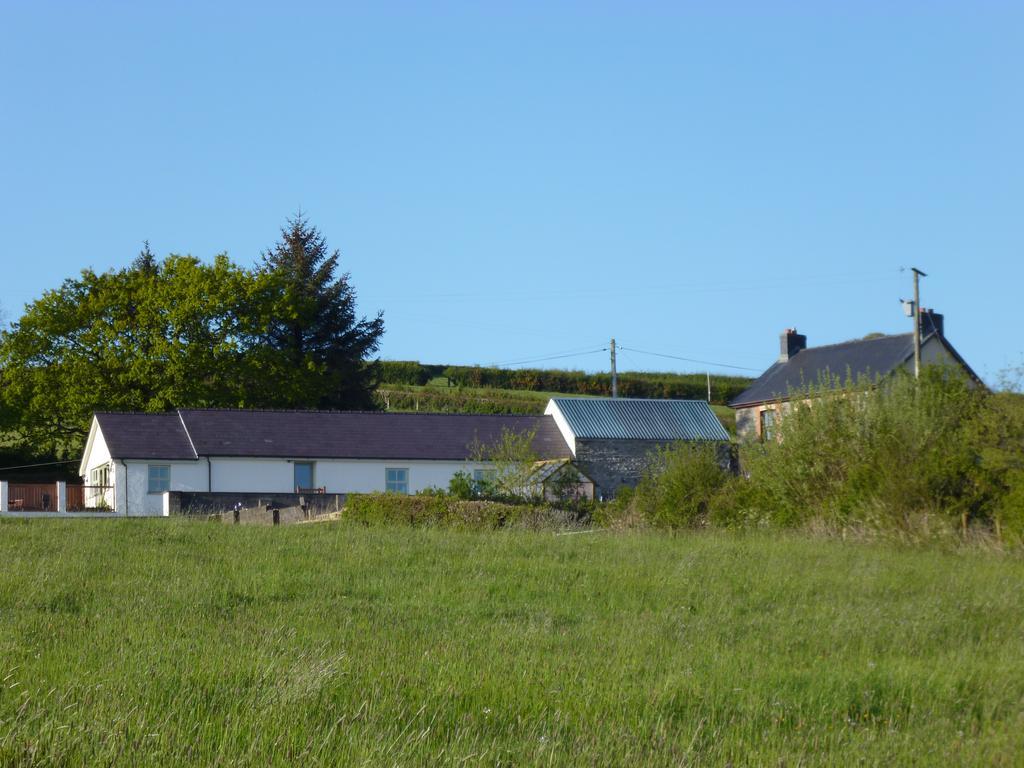 Red Kite Cottage Carmarthen Bagian luar foto