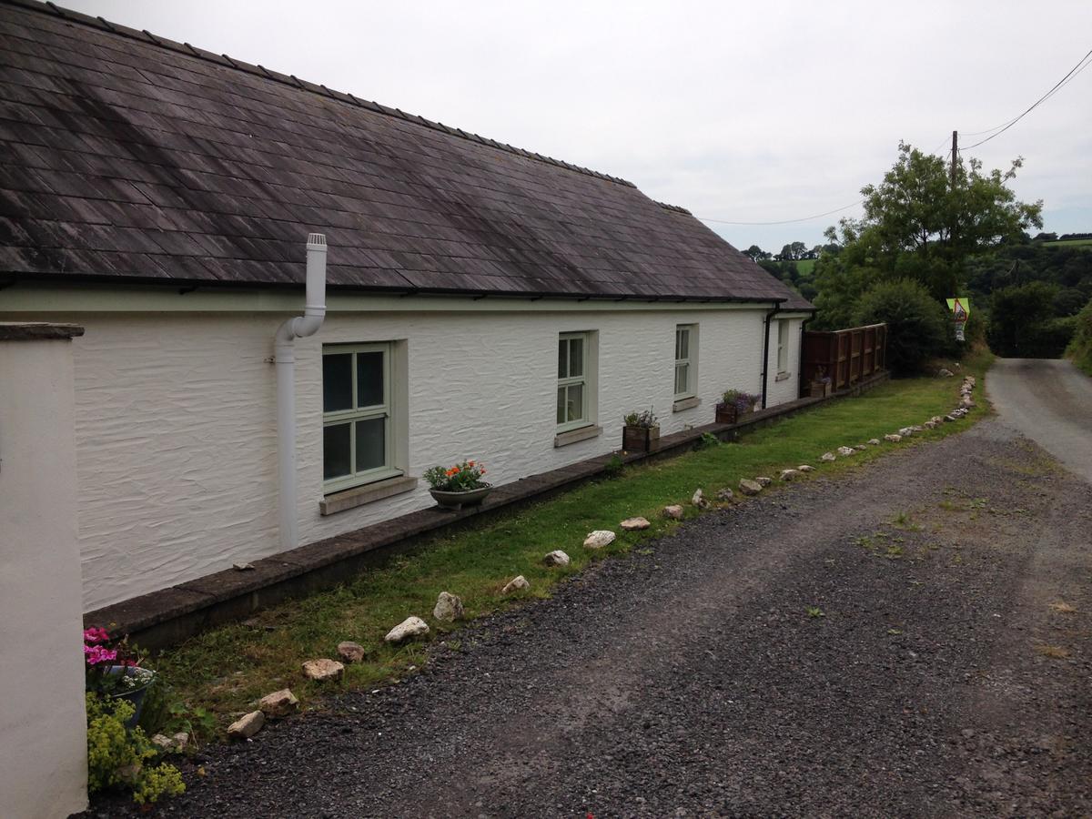 Red Kite Cottage Carmarthen Bagian luar foto